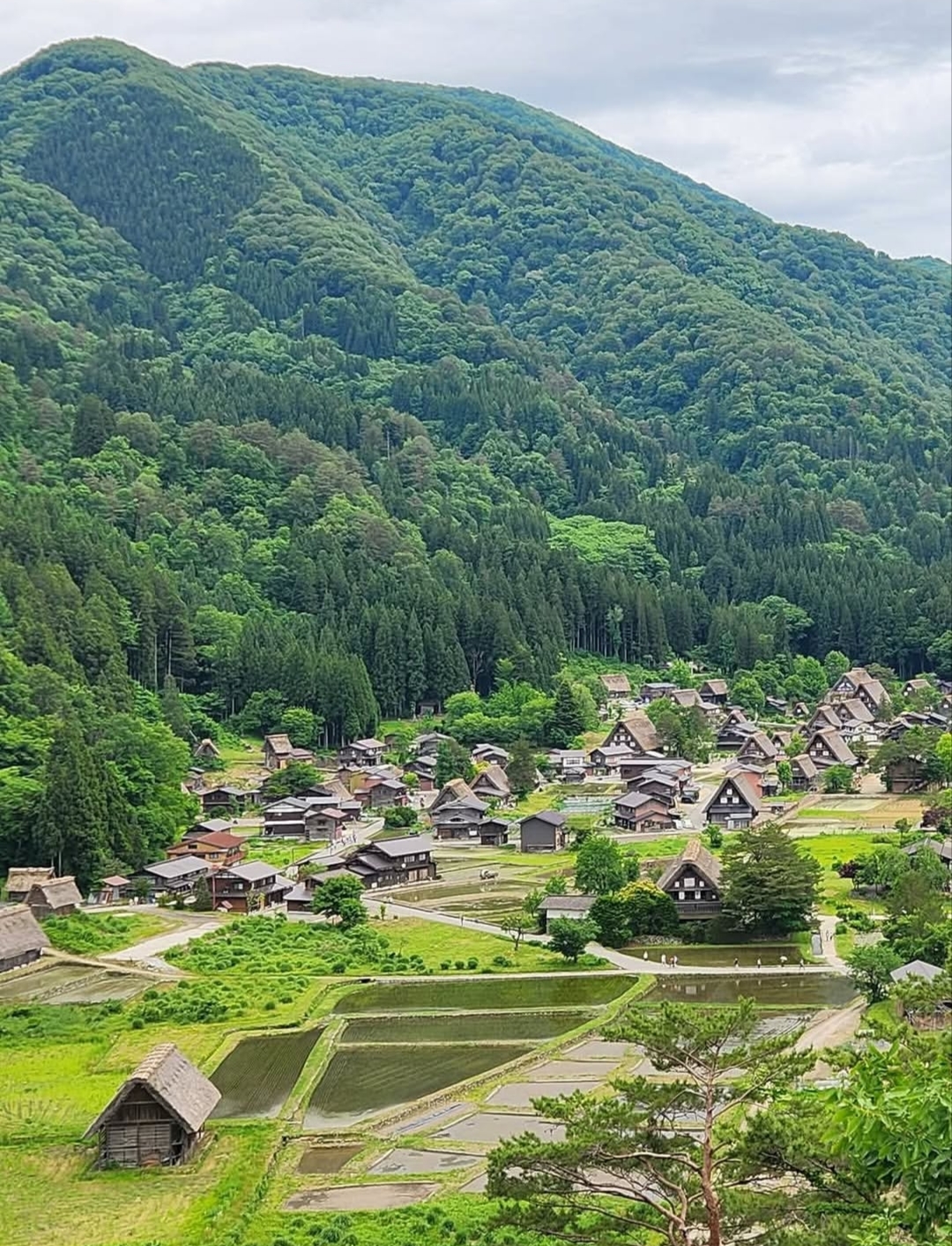 Shirakawa-go wioska ukryta w górach